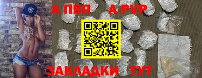 стаф Донской