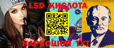 стаф Донской