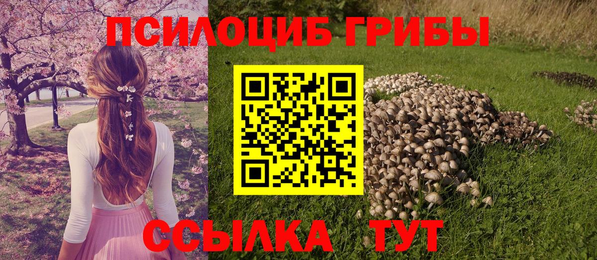 Псилоцибиновые грибы мухоморы  Вход с VPN  Волоколамск  купить наркотики сайты  Галлюциногенные грибы ЛСД 